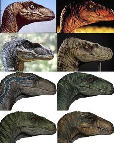 Jurassic World 2, Trex Dinosaur, Walking With Dinosaurs, Dinosaur Images, Dinosaur Drawing, Jurassic Park World, Dinosaur Art, Prehistoric Creatures