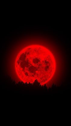 the full red moon is seen in the dark sky