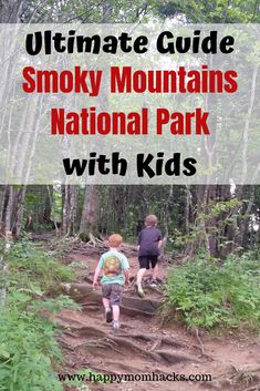 the ultimate guide to smoky mountains national park with kids