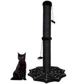 a black cat sitting next to a spider web scratching post