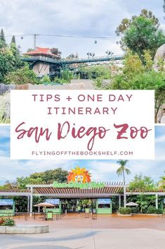 a sign that says tips and one day itinerary san diego zoo in front of some trees