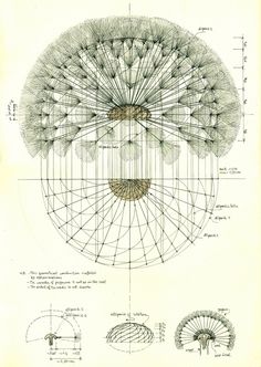 a drawing of an object with lines and circles on it's sides, including the center section