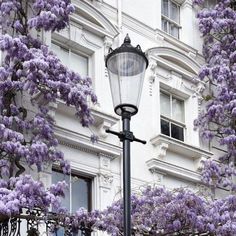 a lamp post with purple flowers on it in front of a white and black building