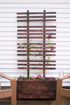 two wooden chairs sitting next to each other in front of a white wall with plants growing out of it