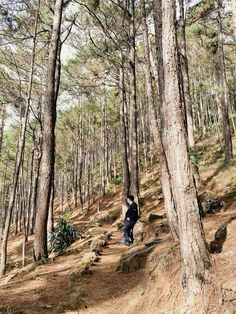 a person walking up a trail in the woods