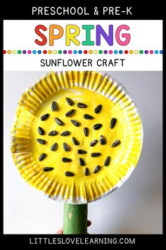 a paper plate with seeds on it and the words spring sunflower craft above it