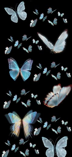 several white butterflies flying through the air