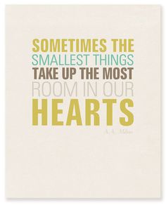 an image of a quote that says sometimes the smallest things take up the most room in our hearts