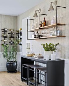 a bar with bottles and glasses on the top shelf next to a potted plant