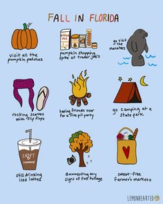 an illustrated poster with the words fall in florida and other things to see on it