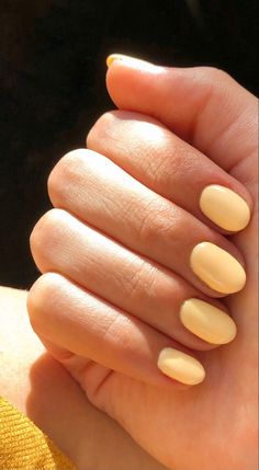 Yellow Aesthetic Nails Short, Light Yellow Gel Nails Short, Yellow Oval Acrylic Nails, Short Nails Yellow Pastel, Honey Yellow Nails, Round Yellow Nails, Light Yellow Short Nails, Pale Yellow Gel Nails, Light Yellow Nails Pastel