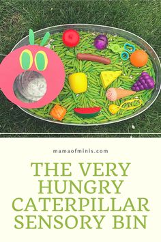 the very hungry caterpillar sensory bin