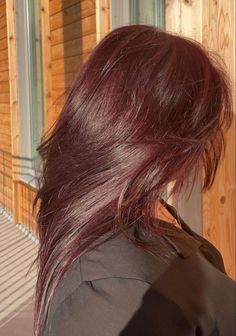 Tinted Red Hair, Pbj Hair, Hair In Sunlight, Red Tint Hair, Cola Hair, Burgundy Red Hair, Wine Hair Color, Dark Red Hair Color