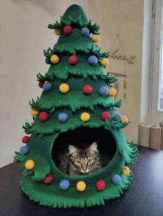 a cat in a christmas tree shaped house