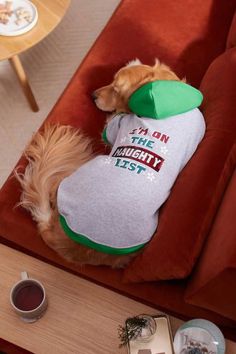 Dog Christmas Presents Gift Ideas