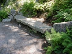 a stone bench sitting in the middle of a forest filled with green plants and rocks