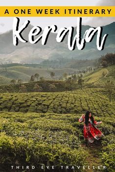 a woman standing in the middle of a tea field with text overlay that reads, a one week itinerary keraba