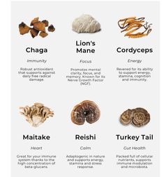 Herb Knowledge, Vitamin Foods, Lion's Mane Mushroom, Hormonal Imbalances, Healthy Food Facts, Mushroom Coffee, Herbs For Health, Naturopathy