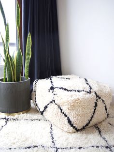 a potted plant sitting on top of a white rug next to a black and white pillow