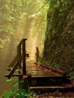 a painting of a wooden bridge in the woods