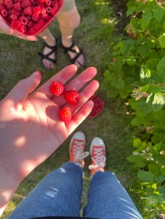 a person holding raspberries in their hands