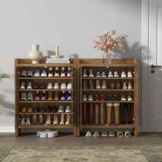 two wooden shelves with shoes on them in front of a door and potted plant