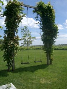 two swings in the middle of a grassy field with trees and plants growing on them