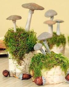 small mushrooms are growing out of the moss in this potted planter, which is on top of a wooden table