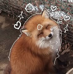 a red fox sitting next to a wire fence with hearts drawn on it's face