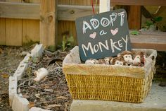 there is a sign that says adopt a monkey in a basket with stuffed animals inside