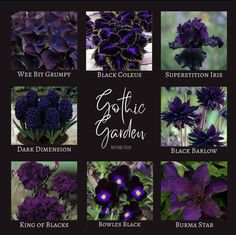 different types of purple flowers with the words gothic garden