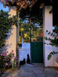 two cats sitting in front of a green door with flowers growing on the outside wall