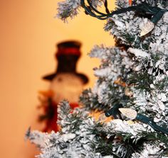 a close up of a christmas tree with snow on it