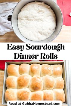 bread rolls in a pan with the words easy sourdough dinner rolls on top