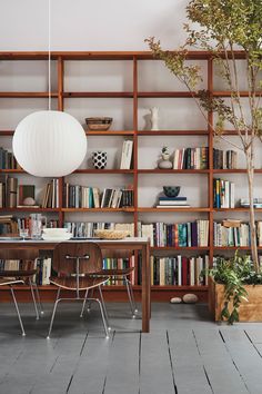 a room filled with lots of books and furniture next to a plant on top of a table