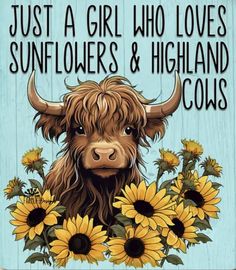 a cow with sunflowers and the words just a girl who loves sunflowers & highland cows