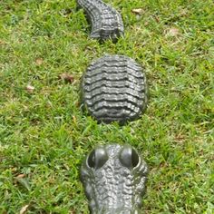 three toy alligator heads laying in the grass