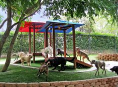 several dogs are playing in the grass near a playground