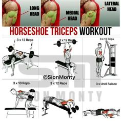 Big Biceps Workout, Traps Workout, Gym Antrenmanları, Planet Fitness, Muscle Building Workouts, Weight Training Workouts, Workout Chart, Triceps Workout