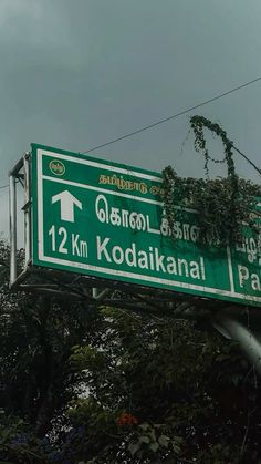 there is a green street sign that says kodakanal park on it's side