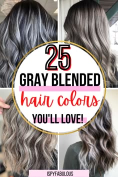 Hair Color Grey Silver, Blended Hair, Gray Blending, Grey Hair Dye, Highlights Lowlights, Grey Hair Inspiration