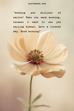 Starting the day with a positive attitude and a smile on your face can play a major role in how that day turns out. Here are some motivational have a beautiful day quotes that you can use as self-affirmations or share with someone who you believe needs to hear a few inspiring words to enjoy their day. Starting The Day Quotes, Have A Lovely Day Quotes, Have A Better Day, Amazing Day Quotes Inspiration, Special Day Quotes, Have A Happy Day Quotes, Beautiful Day Quotes Positivity, Have A Lovely Day