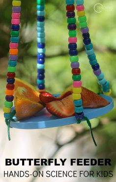 a butterfly feeder with beads hanging from it's sides and the words, butterfly feeder hands - on science for kids