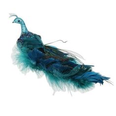 a blue bird with feathers on it's back