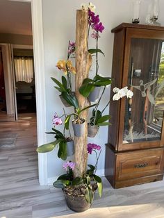 there is a potted plant with flowers in it on the floor next to a cabinet