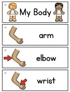 the body and arm worksheet for children to learn how to read their hands