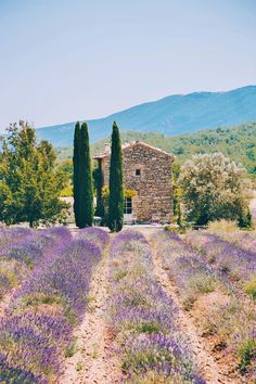 an old stone house surrounded by lavender flowers in the countryside, with trees and mountains in the background