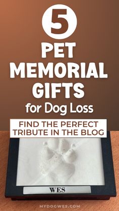 a dog's paw is in the sand with text overlay that reads 5 pet memorial gifts for dog loss find the perfect tribute in the blog