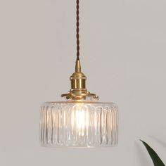 a glass light hanging from a ceiling fixture in a room with a plant on the wall