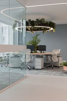 an office with glass walls and plants on the desks, along with two chairs